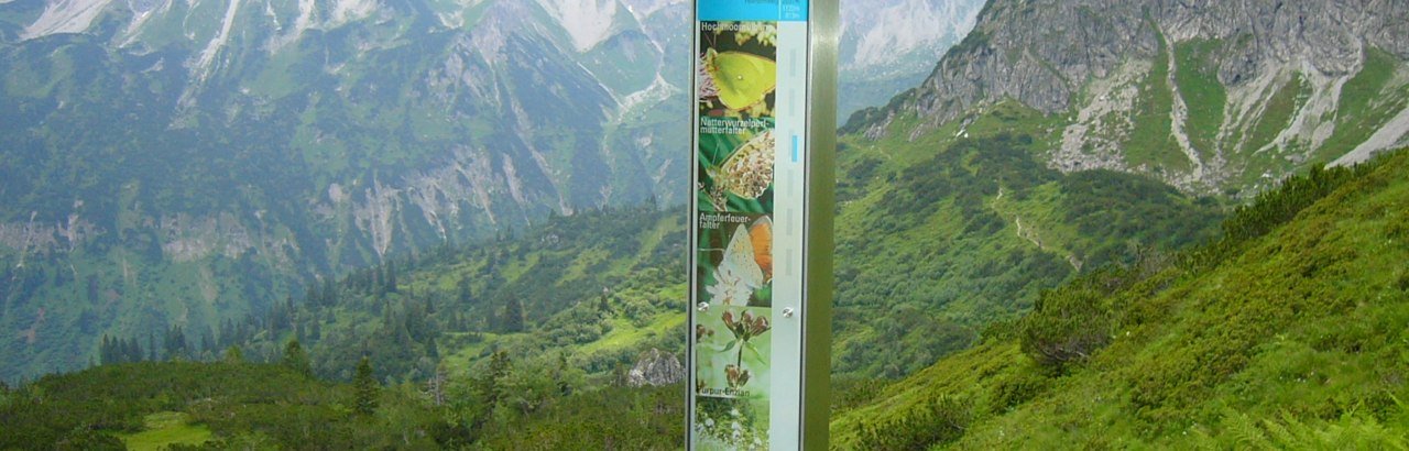 Infostele am Bergschau-Erlebnisweg © Thomas Dietmann