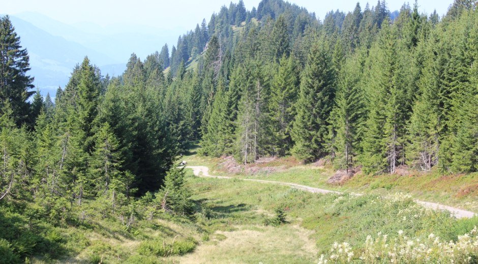 Natur Pur
