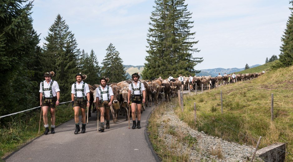 Viehscheid in Obermaiselstein im Allgäu © Tourismus Hörnerdörfer, F. Kjer