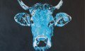 Rolf Thuma - blaue Kuh © Rolf Thuma