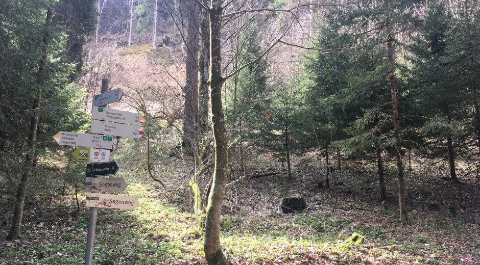 Sagenweg zur Sturmannshöhle