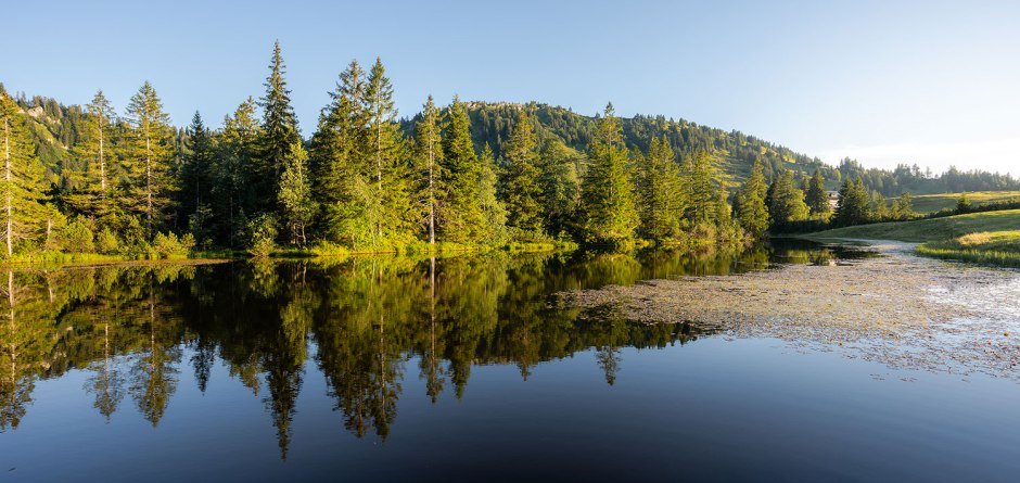 Das Hochmoor entdecken © Nico Bogenreuther, Oberstaufen Tourismus