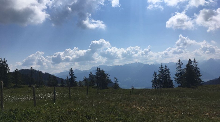 Hochmoor