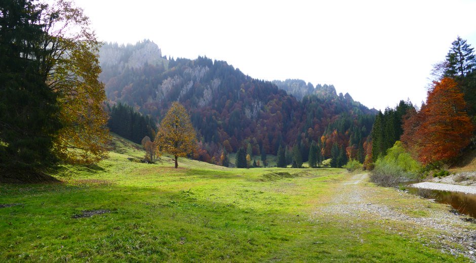 Blick ins Gunzesrieder Tal Richtung Sipplinger © Naturpark Nagelfluhkette e.V.