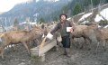 Alpenwildpark in Obermaiselstein - Fütterung © Tourismus Hörnerdörfer