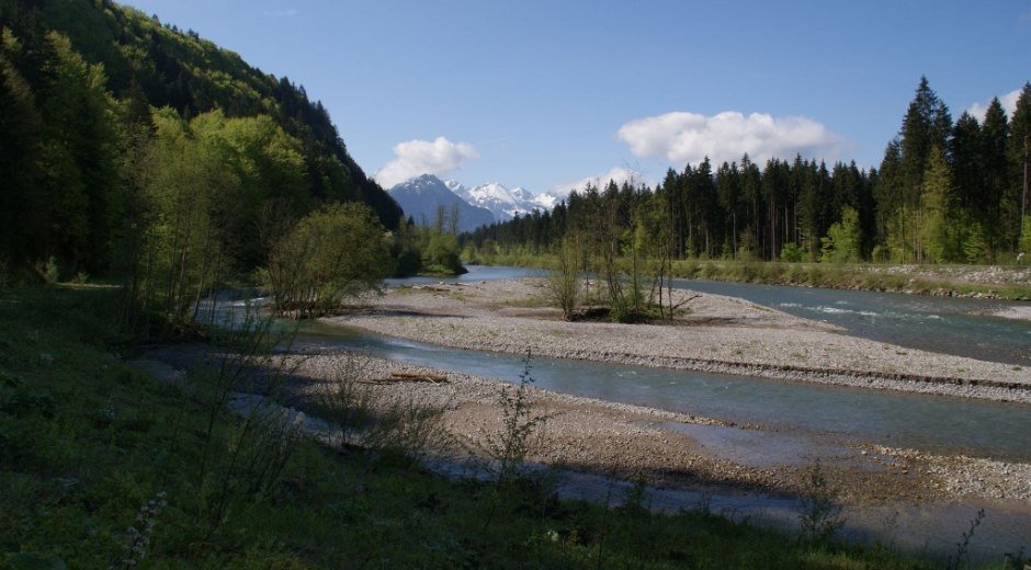 Die Iller, am südlichen Ende des Auwaldsees bei Fischen im Allgäu. Im Hintergrund der Allgäuer Hauptkamm © Tourismus Hörnerdörfer
