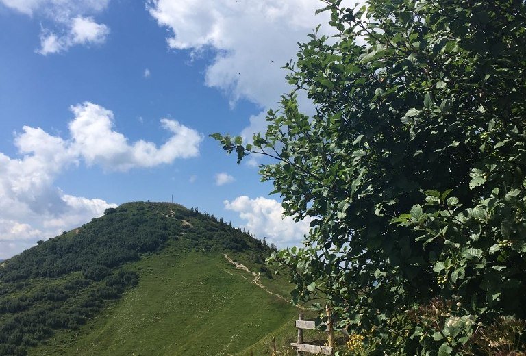 Blick zum Riedbergerhorn