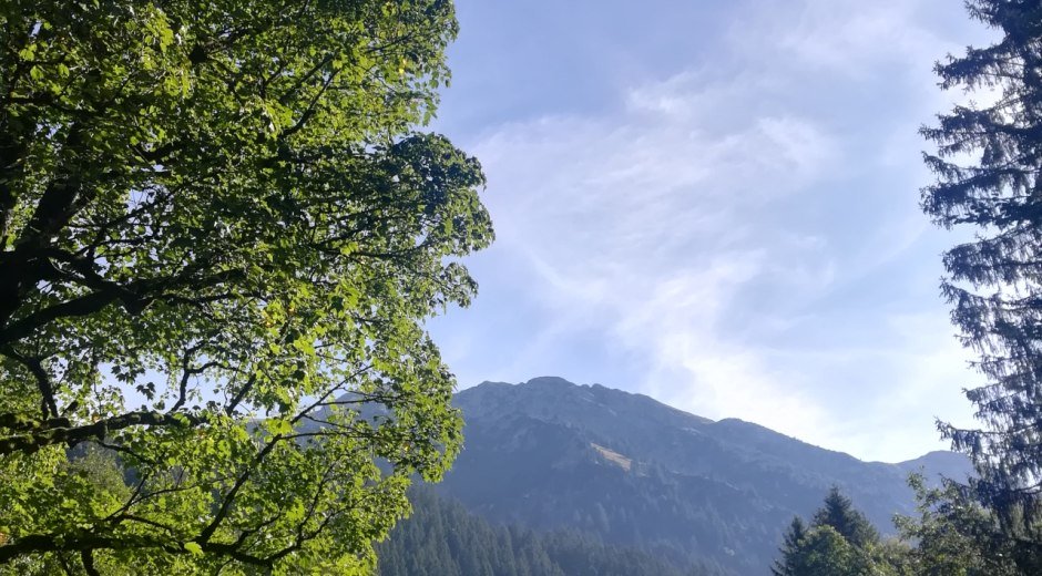 Wandern mit Blick auf die Allgäuer Hochalpen © Tourismus Hörnerdörfer GmbH