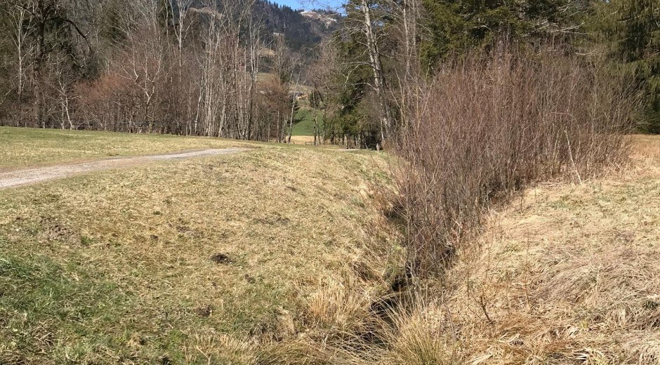 Vorbei am Bach © Tourismus Hörnerdörfer, L. Renn