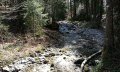 Bachlauf im Wald