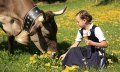 Der Eisladen Ofterschwang - die Wiesen liefern hoc © Tourismus Hörnerdörfer, M. Felder