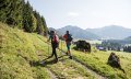 Auf dem "sich-Zit-long"-Weg oberhalb von Balderschwang © Tourismus Hörnerdörfer, F. Kjer