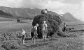Heuernte mit der ganzen Familie 1939 © Lala Aufsberg, Archiv Heimatbund Allgäu e.V.
