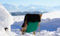 Landhotel Alphorn - Terrasse im Winter © Landhotel Alphorn