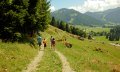Sich-Zit-long-Weg in Balderschwang © Tourismus Hörnerdörfer, G. Eichholzer