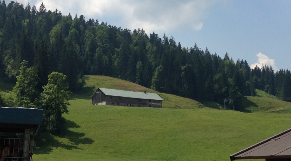 Höfle-Alpe bei Balderschwang © Tourismus Hörnerdörfer, MA