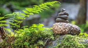 Wanderung der Sinne © AdobeStock