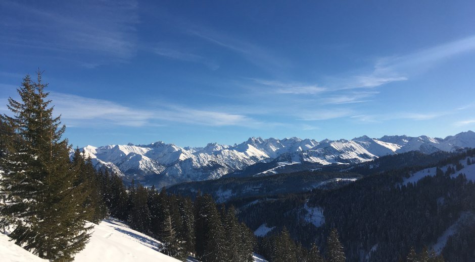 Blick auf die Allgäuer Alpen © Tourismus Hörnerdörfer, S. Salzberger