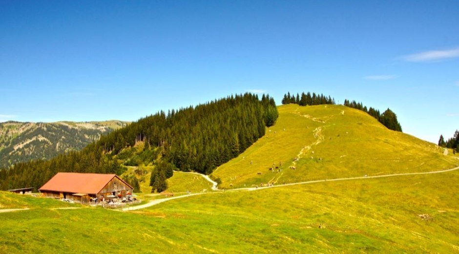 Fahnengehren Alpe mit Ofterschwanger Horn