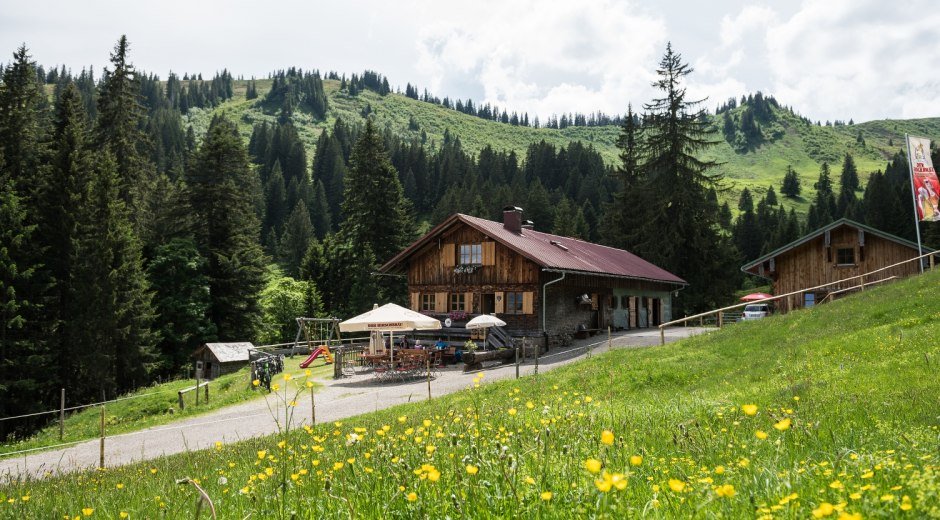 Alpe Bolgen