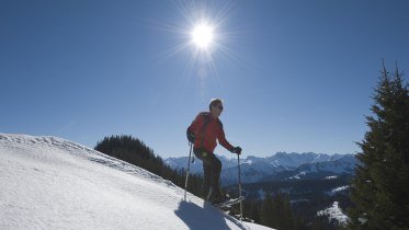 Schneeschuh Tour bei Sonnenschein © Tourismus Hörnerdörfer