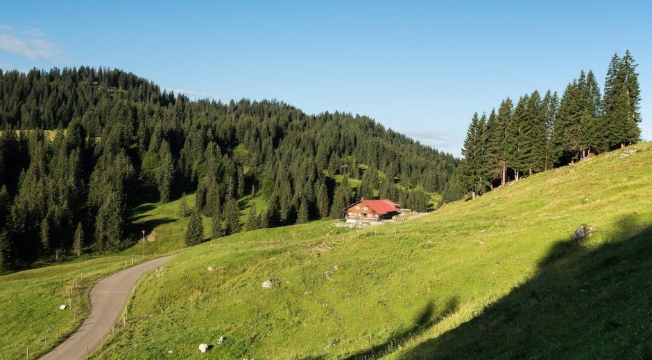 Die Freiburger Alpe im Lochbachtal bei Obermaisels © Tourismus Hörnerdörfer, F. Kjer