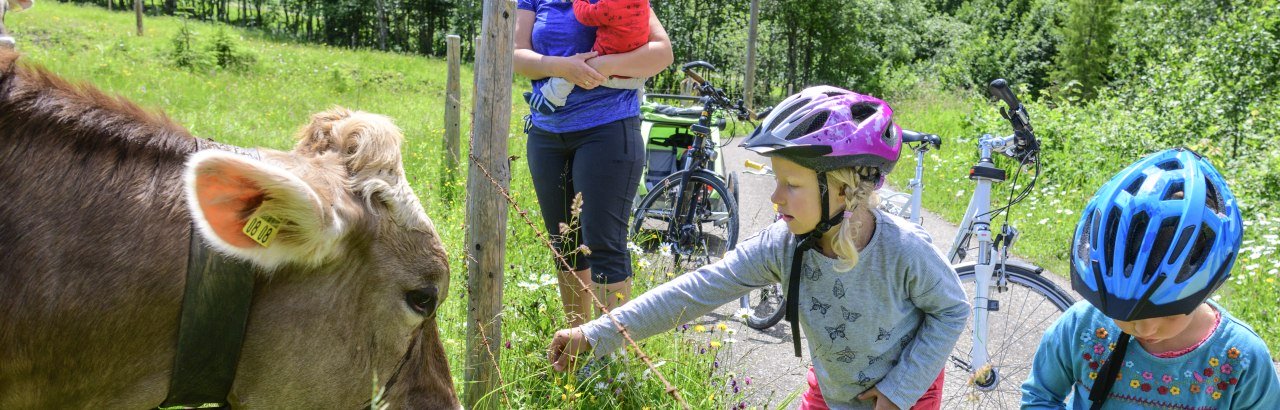 Kinder und Eltern mit Kühen am Weidezaun nach einer Radtour. © Alexander Rochau