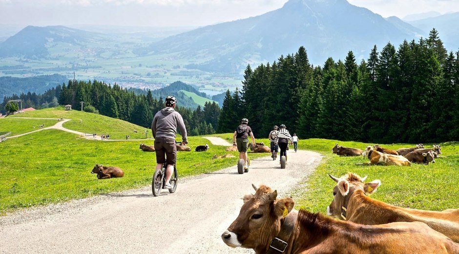Downhill-Roller am Ofterschwanger Horn im Allgäu © Tourismus Hörnerdörfer, ProVisionMedia