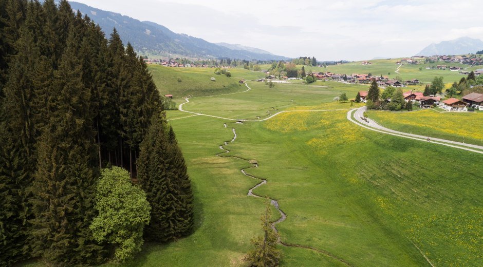 Blick auf die Rieder Wiesen © Tourismus Hörnerdörfer, F. Kjer