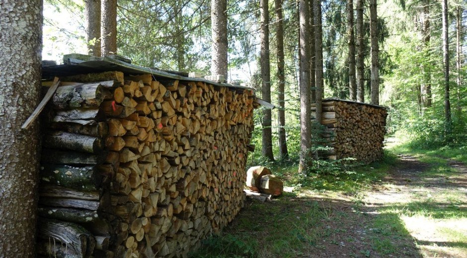 Holzstapel im Wald bei Fischen im Allgäu © Tourismus Hörnerdörfer