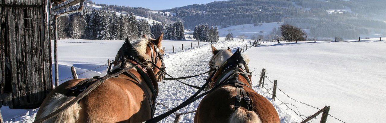 Schlittenfahrt im Emmereiser Moos © Christian Bischoff