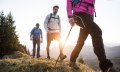 Die heimische Flora kann beeindrucken. © Tourismus Hörnerdörfer, F. Kjer