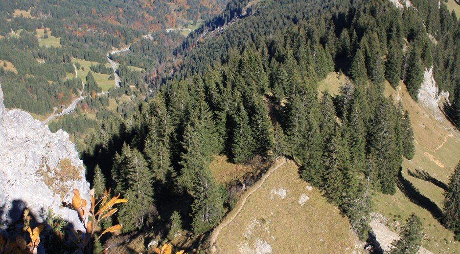 Blick vom Gipfel