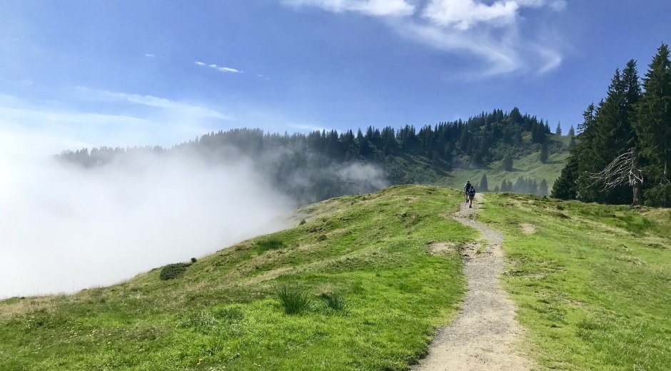 Über den Wolken auf der Hörner Panoramatour © Tourismus Hörnerdörfer GmbH