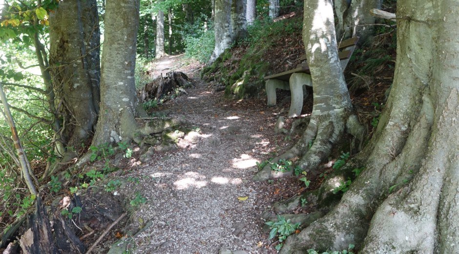 Tipp: Waldweg Richtung Malerwinkel © Tourismus Hörnerdörfer GmbH