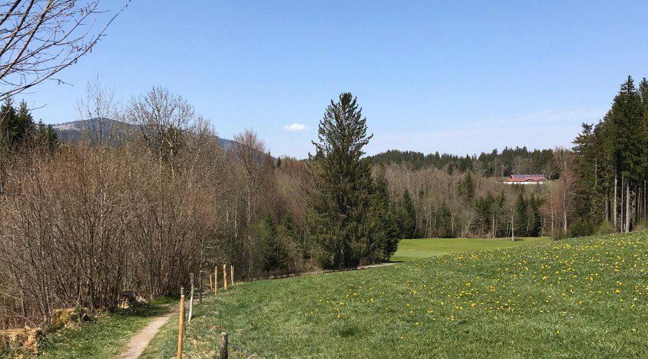 Fußweg zur Ach © Tourismus Hörnerdörfer, L. Renn
