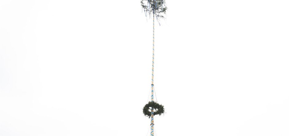 Maibaum © Aline