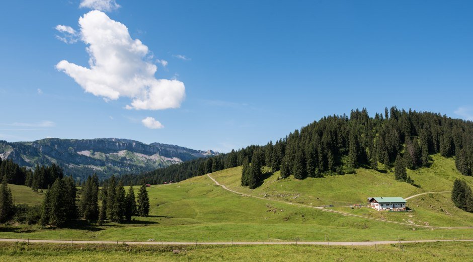 Alpe Dinjoergen bei Obermaiselstein © Tourismus Hörnerdörfer, F. Kjer
