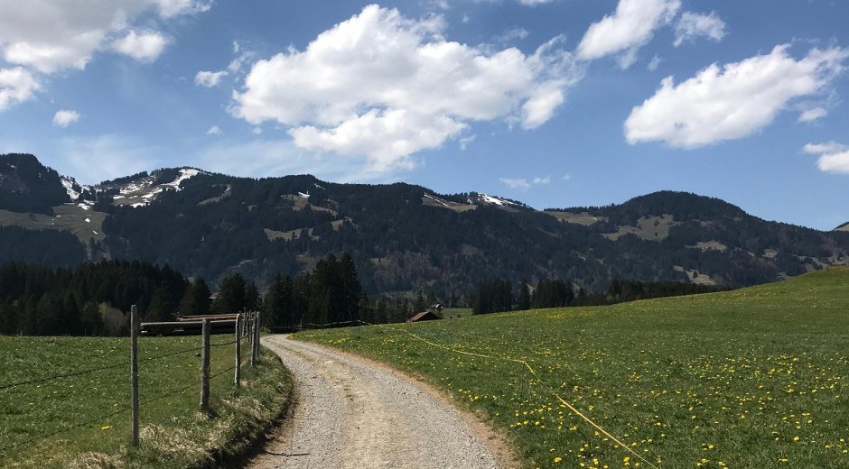 Von Fischen-Berg geht es zum Achweg © Tourismus Hörnerdörfer, L. Renn