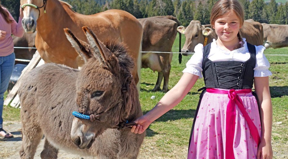 Kleiner Streichelzoo "Beim Thanner" © Tourismus_Hörnerdörfer_Mueller_Ulrike