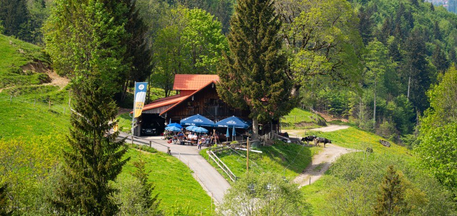 Wanderung auf den Spuren der Alpwirtschaft © Nico Bogenreuther, Oberstaufen Tourismus