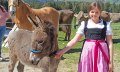 Kleiner Streichelzoo "Beim Thanner" © Tourismus_Hörnerdörfer_Mueller_Ulrike