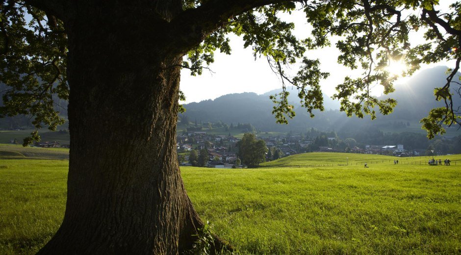 Ort der Besinnung - Obermaiselstein © Tourismus Hörnerdörfer, F. Kjer