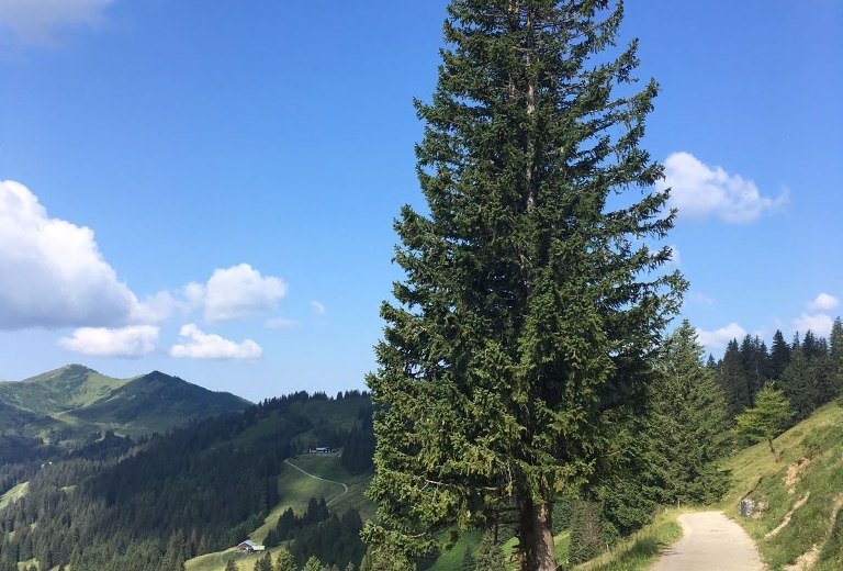 Blick zum Berghaus Schwaben