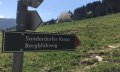 Wegweiser Richtung Sonderdorfer Kreuz und Bergblickweg