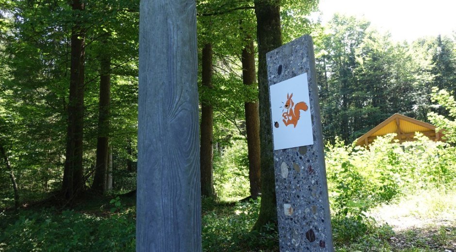 Eichhörnchenwald Fischen im Allgäu © Tourismus Hörnerdörfer, MA