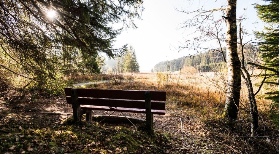 Herbst am Tiefenberger Moos © Tourismus Hörnerdörfer, F. Kjer