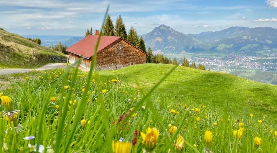 Rundweg Ofterschwanger Horn mit Blick zum Grünten © Tourismus Hörnerdörfer, M. Redecker