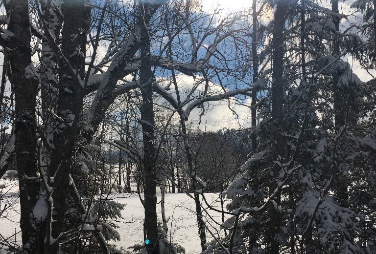 Winterlandschaft Untermühlegg