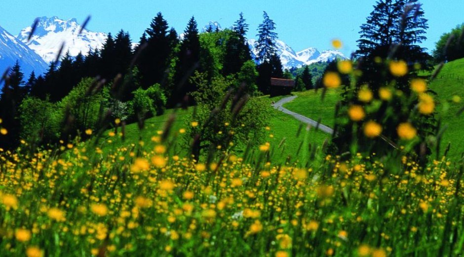 Wanderweg von Maderhalm nach Fischen